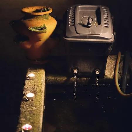 Spacious House In + Garden *