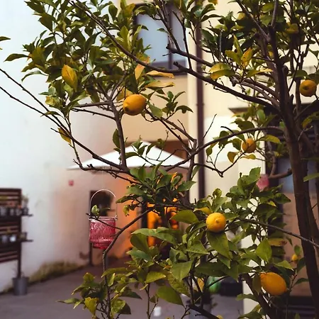 Spacious House In + Garden * Porto